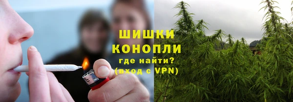 дурь Костерёво