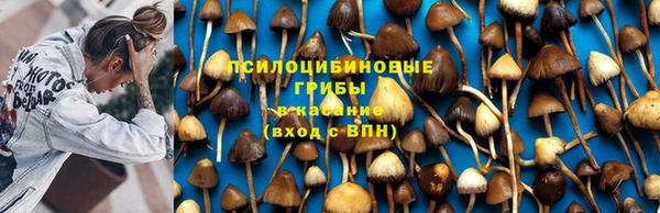 мдпв Коряжма