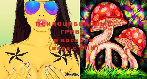 ECSTASY Краснослободск